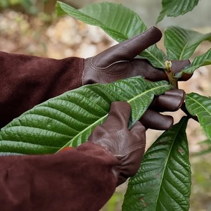 Guantes de Trabajo de Cuero de Seguridad Industrial al por Mayor del Fabricante, Correa de Muñeca Ajustable para Protección Laboral en Construcción al Aire Libre - Product Image 4