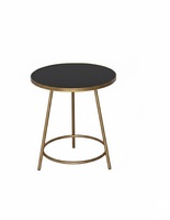 Table d'appoint en métal noir avec revêtement en poudre, convertible, avec plateau relevable, meubles en métal avec revêtement en poudre, accent pour le salon