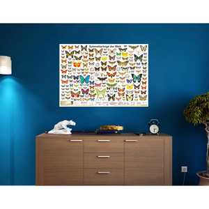 Affiche mondiale des papillons en allemand format DIN A1 pour décoration murale - Product Image 3