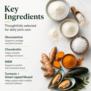 Vente en gros de comprimés à mâcher souples pour chiens, soutien des hanches et des articulations, glucosamine, chondroïtine, MSM, étiquette privée, service OEM unique, <span class=keywords><strong>prix</strong></span> en gros - Product Image 4