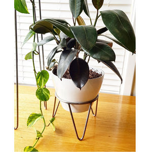 Maceta de Metal de la Más Alta Calidad con Soporte, Maceta Redonda para Plantas, Decoración para el Hogar y el Balcón, Macetas de Cerámica para Jardín, Decoración para Bodas - Product Image 6