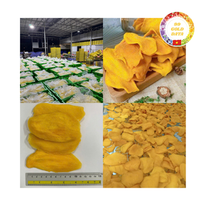 Morceaux de mangue lyophilisés biologiques, approvisionnement en vrac de qualité supérieure de l'usine du Vietnam pour des collations saines. - Product Image 5