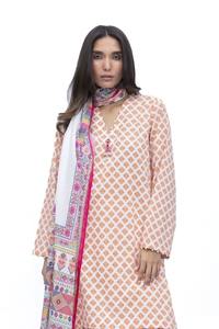 2025 femmes de haute qualité entièrement brodé pelouse coton robe bas quantité minimale de commande en gros fabriqué en usine Shalwar Kameez ensemble indien pakistanais - Product Image 6