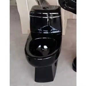 Designer de traitement en usine en bois blanc double couleur Art-Commode moderne, ensemble de toilettes WC monobloc en céramique de Morbi - Product Image 6