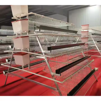 Nouvelles cages à poules pondeuses de grande capacité, écologiques, en acier galvanisé, pour 10000 ou 5000 poules pondeuses, HJ-AC160