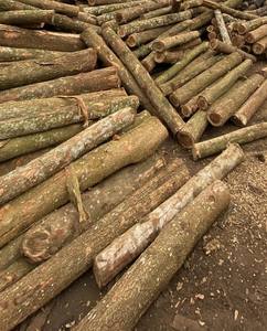 Productos de madera utilizados durante mucho tiempo - Product Image 5