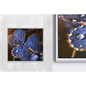 Decoración moderna y elegante para el hogar: arte de pared en lienzo impreso con diseño de flor, gota de agua y vidrio, 1 lienzo con marco blanco - Product Image 1