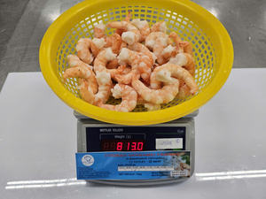 Crevettes Vannamei Cuites Surgelées CPD Vietnam IQF Qualité Export - Product Image 2