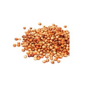 Hạt kê trắng chất lượng cao, bột kê trắng chất lượng cao, kê đỏ dùng làm thực phẩm, đóng gói trong hạt trắng chất lượng cao - Product Image 3