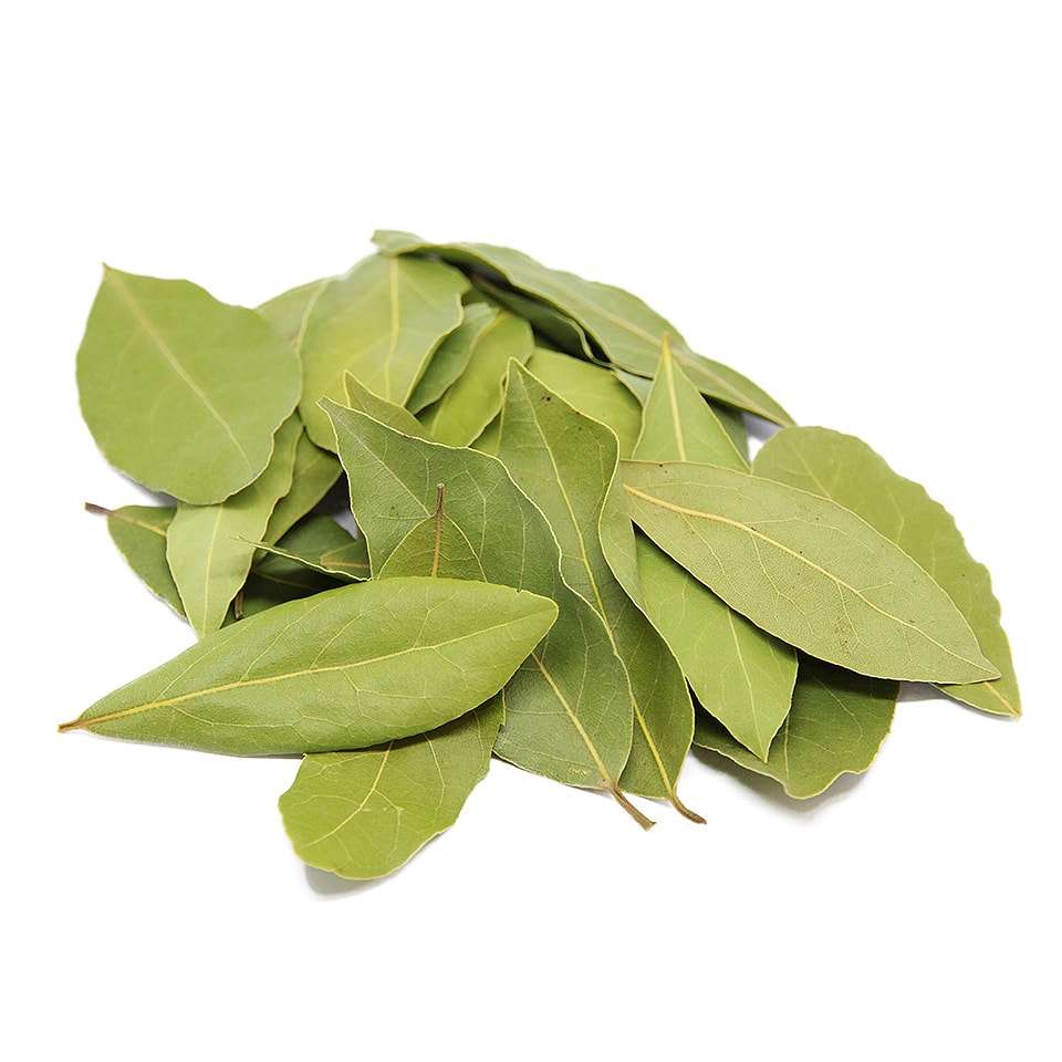 Bay leaves stock image. Image of cooking, grow, leaf, macro - 665183