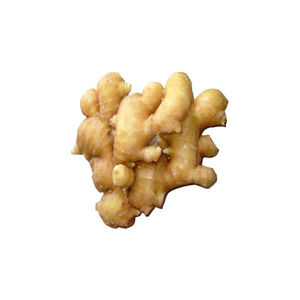 Racine de gingembre crue pour Smoothie Recettes - Product Image 3