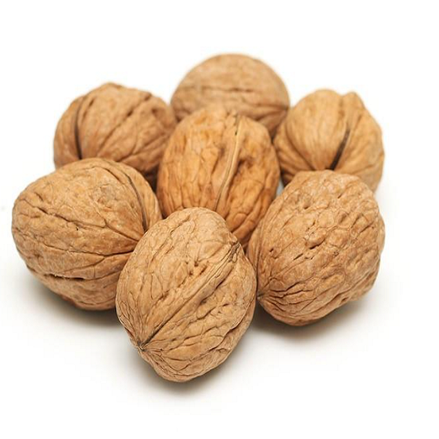 High Quality Organic Walnuts in Bulk Natural Dried Walnut Kernels without Shell Fast Shipping Sale