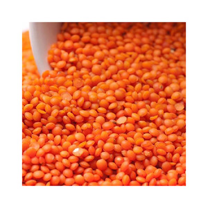 Lentejas rojas al por mayor a precio de fábrica, calidad premium, masoor dal, envío a granel listo para enviar - Product Image 1