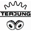Zahnradfabrik Hermann Terjung GmbH logo