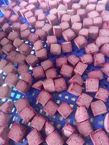 Cubos de Fruta del Dragón Congelados IQF, Pulpa Roja y Blanca, Paquete de Cartón a Granel, Alta Calidad - Sra. Tarina - Product Image 6