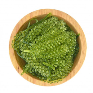 หญ้าทะเลอบแห้งออร์แกนิก (lato umibudo arosep Nama seamoss) ส่งตรงจากเวียดนาม - Product Image 1
