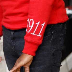 Hbcu Alpha chenille เสื้อสเวตเตอร์ปักลายตัวอักษรกรีกเสื้อสวมหัวคอกลมผ้าฟลีซแบบคลาสสิก - Product Image 6