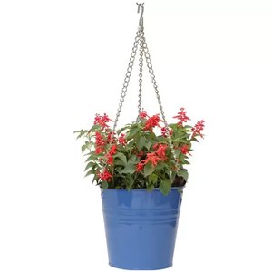 Trending <b>Gold</b> Plated Metal Wall Hanging <b>Planter</b> In Round Shape For Home Entry way Decorative Wall <b>Planter</b> With Chain - Product Image 3