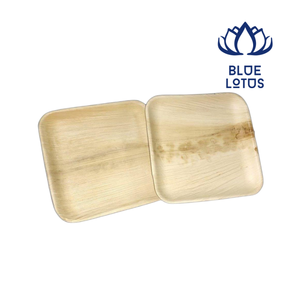 Assiettes en feuilles de palmier naturelles, biodégradables, jetables, en vrac - Product Image 1