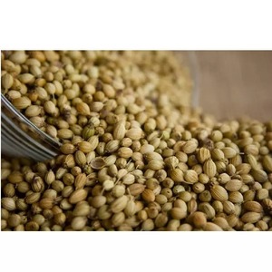 Graines de coriandre de haute qualité 100% graines de légumes secs naturels de qualité biologique en vrac et fournisseur quantité minimale de commande meilleur pour le jardinage - Product Image 4