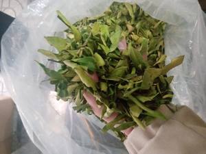 Hojas de lima secas al por mayor, hojas perfumadas naturales de alta calidad para la cocina del sudeste asiático y té de hierbas, estándar de exportación. - Product Image 3