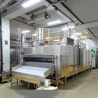 Ligne de production de cacahuètes enrobées en acier inoxydable SUS304 à conception personnalisée, machine à assaisonnement des noix pour la fabrication d'arachides enrobées