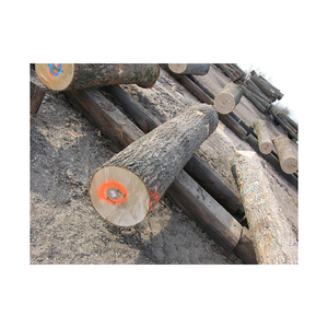 Premium Grade Maple Logs for Stave <b>Wood</b> 10-40mm <b>Length</b> Bulk Package From Canada - Product Image 3