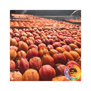 Vente chaude 2024 Qualité supérieure 100 Persimmon séché naturel à % avec saveur sucrée Parfait pour les amateurs de collations et de desserts - Product Image 4