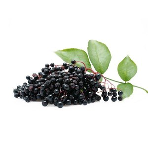 Venta al por mayor polvo de extracto de saúco negro antocianidinas 25% polvo de saúco - Product Image 4