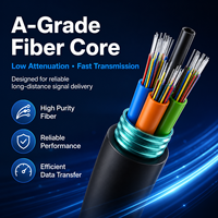 Cable Óptico Blindado OEM GYTA GYTS para Exteriores, Monomodo, Tubo Suelto, Línea de Fibra de 4, 12, 24, 48, 144 Núcleos para Proyectos de Telecomunicaciones