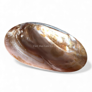 Plato de Concha de Nácar para Decoración de Mesa, Servir Postres y Uso Decorativo en el Hogar, Procedente de Vietnam - Product Image 3
