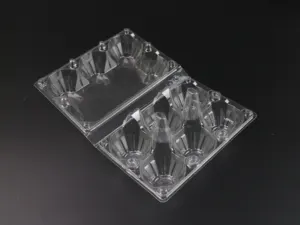 Disposable Egg Trays 6 Egg Tray Egg Packaging Tray