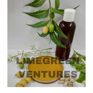 Graines de neem biologique de qualité supérieure Azadirachta Indica Margosa Seeds pour l'agriculture et la lutte antiparasitaire - Product Image 6