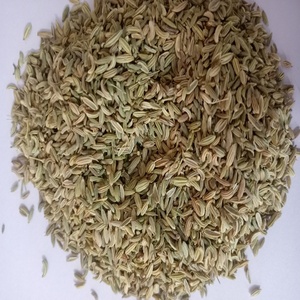 Graines de fenugrec naturelles à 99 % de pureté, récolte 2023, en vente par RGPL à un prix très compétitif, durée de conservation de 1 an - Product Image 2