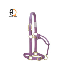 Licol pour cheval en nylon durable avec muserolle rembourrée et quincaillerie personnalisée, cuir confortable et résistant pour un usage quotidien - Product Image 4