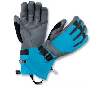 Haute meilleure qualité taux raisonnable hiver neige gants d'hiver chaud hommes coupe-vent imperméable pour gants de Ski meilleure qualité faible taux - Product Image 6