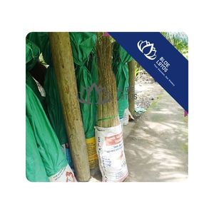VENTE CHAUDE Bâton de balai de noix de coco Bâton durable flexible adapté au nettoyage quotidien intérieur extérieur et à la fabrication de balais ménagers - Product Image 1