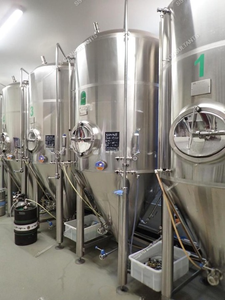 Tanques de Fermentación Cilindroconicos de Acero Inoxidable |   5 unidades CCT - Product Image 3