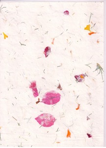 Papel de flores hecho a mano de calidad de exportación 70 cm X 100 cm tamaños A4/A5 hojas de papel de germinación que crecen flores 2025 producto - Product Image 3