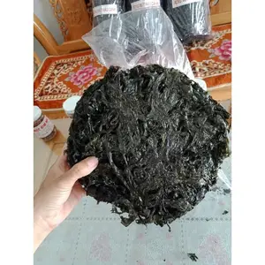 Vietnamca kurutulmuş sargassum deniz yosunu 99