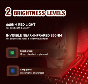 Tapis complet du corps à usage domestique soulagement de la douleur 660nm 850nm proche infrarouge thérapie par la lumière rouge sac de couchage Salon Spa lit Pdt - Product Image 6