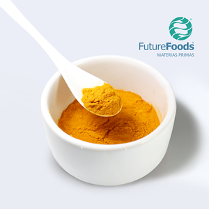 Cúrcuma en Polvo (Deshidratada) - Product Image 2