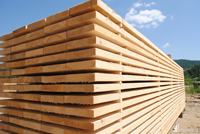 Vente en gros de bois scié de pin/hêtre bois de palette/bois de pin à vendre