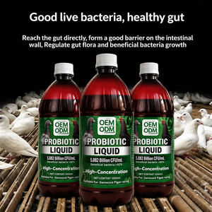 Высокоэффективные безопасные жидкие живые бактерии Lactobacillus: пробиотики для здоровья кишечника, контроля диареи, ежедневного использования для гоночных голубей, 500 мл - Product Image 5