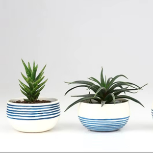 Juego de Macetas de Cerámica con Rayas Clásicas, Duraderas, para Interiores, para Suculentas y Cactus, Decorativas y Elegantes para el Hogar - Product Image 3
