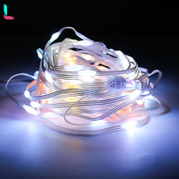 Guirnalda de Luces LED Inteligentes de Cuero, Resistentes al Agua, para Decoración Navideña, Control Remoto por Aplicación, WS2811, DC5V 12V