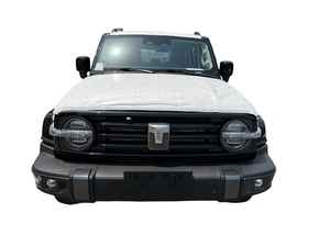 TANK 300 Conquerer 2026 Neuf/d'occasion à vendre - Product Image 1