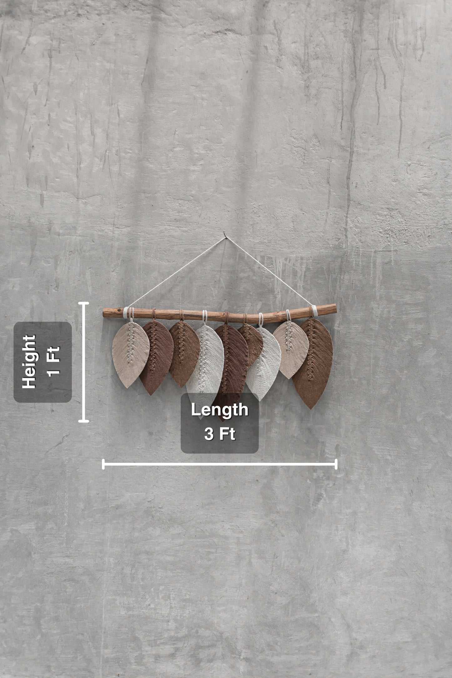 ตามที่แสดง