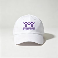 Tas Botol Logo Kustom AI-MICH, Topi, Hadiah Perusahaan, Acara Tim, Branding, Hadiah Promosi Bisnis