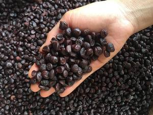 Unique Doi Seeds-Graines sauvages vietnamiennes pures et naturelles pour plats gastronomiques - Product Image 4